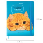 Дневник 1-11 класс 48л, твердый, BRAUBERG, матовая ламинация, резинка, закладка-ляссе, с подсказом, Котик, 107239